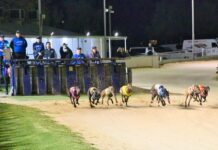 Sunday nights set to shine at Gawler