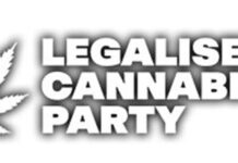 Cannabis candidate taking the Field in Elizabeth