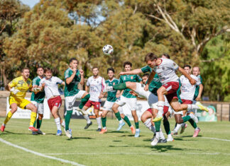 Patriots continue perfect start