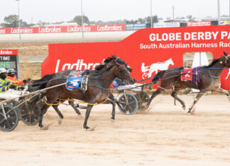 Classic Line returns to form after Melton excursion
