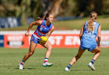 Berry shines as key outs lead to Bulldogs’ first loss