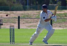 Schiller’s superstar showing ends in Jets defeat