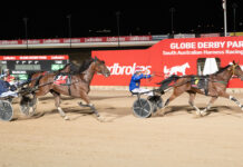 Johnson weaves through the field in Trotters Cup