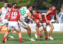 Barnett’s Roosters bounce back, Magpies and Peckers stay perfect