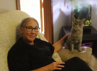 Questions remain after cat-astrophe avoided