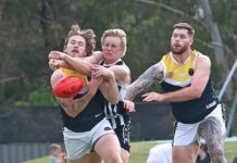 Owls upset Magpies, Peckers remain perfect