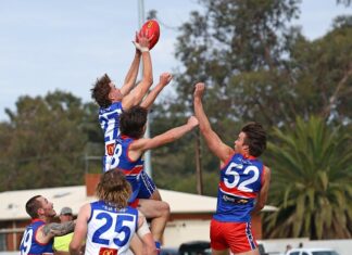 Godfrey and Meyvogel deliver for Donnybrooks