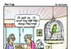 Cartoon
