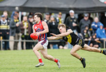 Elbrow explodes with seven goals in local return